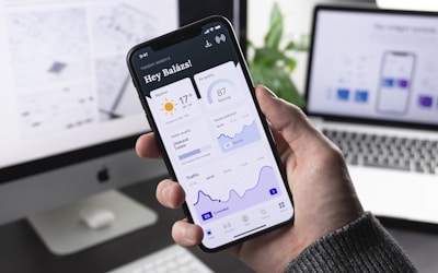 Consultant Website