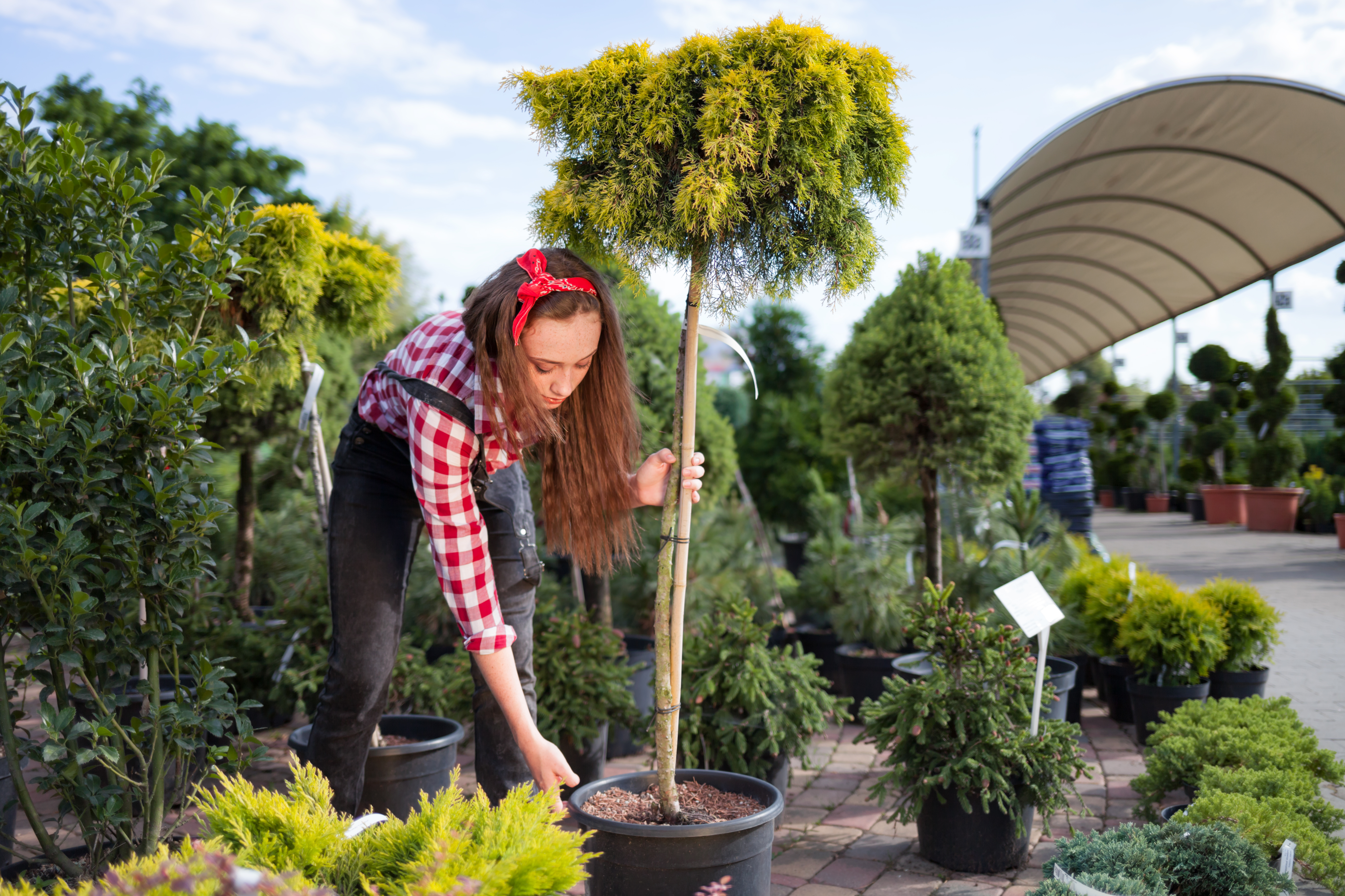 Landscaping Services